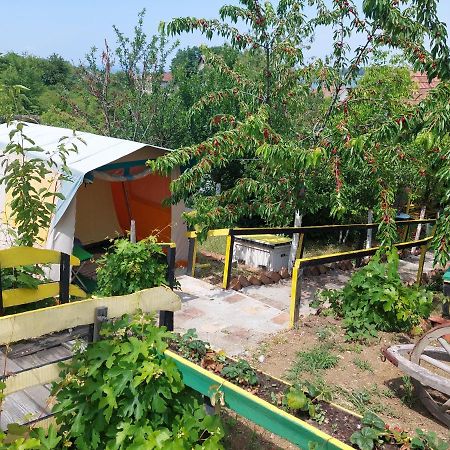 Angelinin Konak Otel Negotin Dış mekan fotoğraf