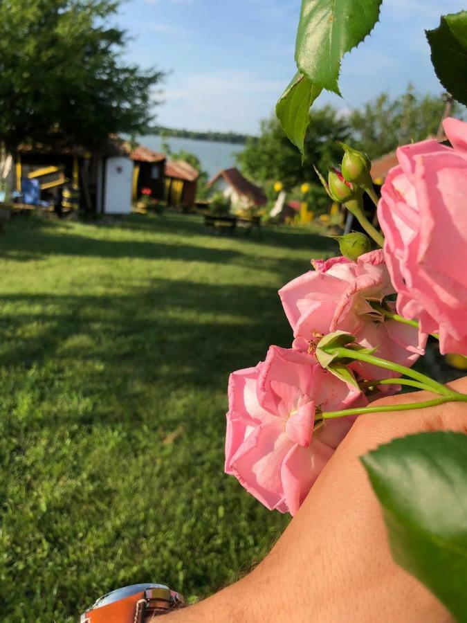 Angelinin Konak Negotin Dış mekan fotoğraf