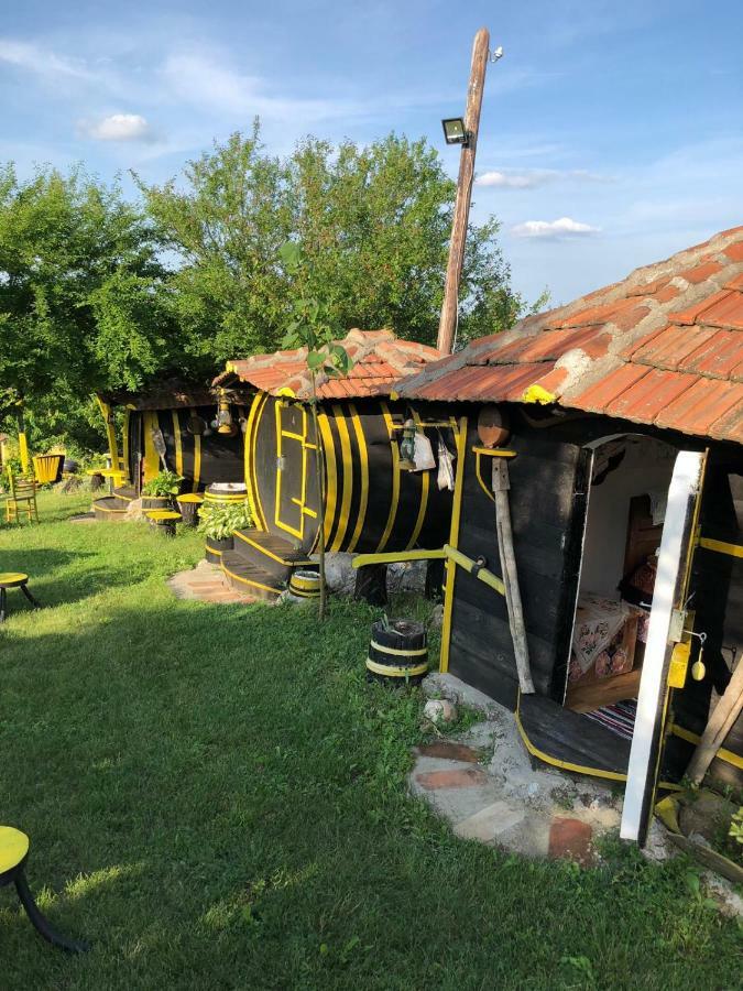 Angelinin Konak Otel Negotin Dış mekan fotoğraf